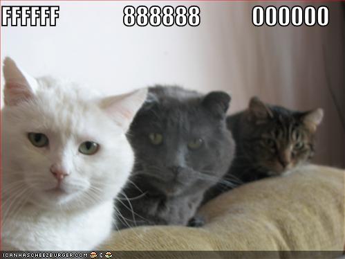 Chats avec codes hex